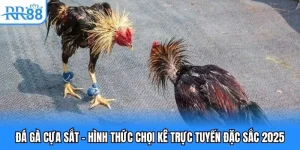 đá gà cựa sắt