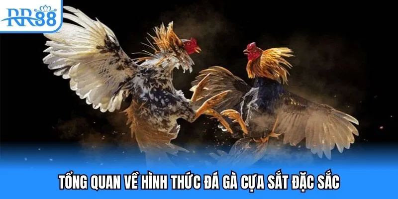 Tổng quan về hình thức đá gà cựa sắt đặc sắc
