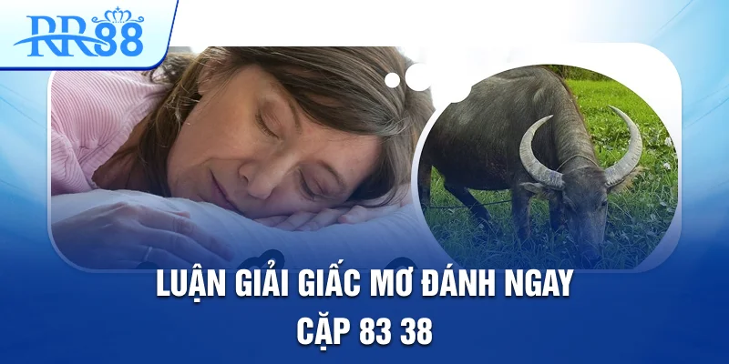 Mơ Thấy Con Trâu Và Những Cặp Lô Đề Đẹp Nhất Tại RR88 3 Luận giải giấc mơ đánh ngay cặp: 83, 38.