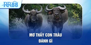mơ thấy con trâu đánh gì