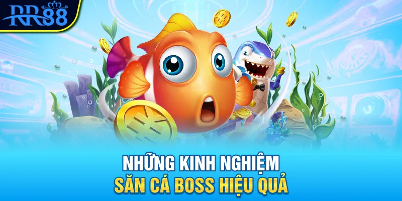 Mẹo Bắn Cá Trúng Boss 100% Làm Giàu Thần Tốc Tại RR88 3 Những kinh nghiệm săn cá boss hiệu quả