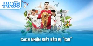 nhận biết kèo bị gài